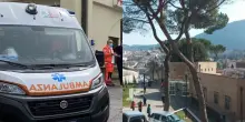 Italia, bimbo di un anno attaccato dal pitbull di famiglia: “Fino al cranio”. Disgrazia atroce