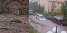 Alluvione improvvisa, l’inferno in un attimo: danni enormi. Pioggia ancora battente