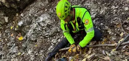 “Lo abbiamo trovato così”. Scomparso da settimane in Italia, il drammatico annuncio è appena arrivato