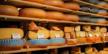 “Se avete questo prodotto non consumatelo”. Formaggio ritirato dai supermercati, infettato da un batterio