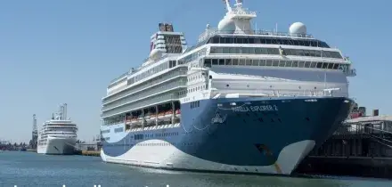 Uomo cade in mare da una nave: ricerche senza sosta