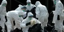 “Epidemie senza precedenti!”. Virus pericolosissimo, scatta l’allarme in Europa. Tutti a rischio