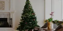 Dove mettere l’albero di Natale in casa: questi posti sono davvero sbagliati