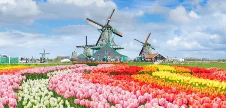 Viaggi organizzati in pullman: la nuova frontiera del turismo esperienziale e sostenibile 2026