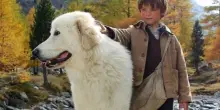 Belle e Sebastien: tutto quello che c&rsquo;&egrave; da sapere sul film
