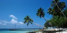 Recuperati tutti i corpi dei sub italiani morti alle Maldive: &ldquo;Avevano attrezzatura per immersioni ricreative. La prof indossava una tuta corta&rdquo;