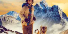 Il ragazzo e la tigre: tutto quello che c&rsquo;&egrave; da sapere sul film