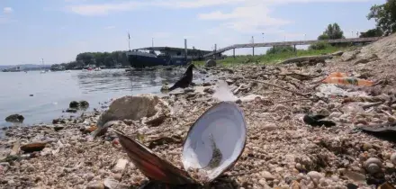 Danubio in secca, livelli dell&rsquo;acqua ai minimi da 30 anni