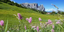 Qualche giorno a Siusi allo Sciliar: il piacere di una vacanza tra natura e relax