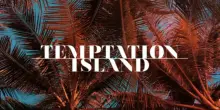 Ascolti tv marted&igrave; 28 luglio: Il giovane Montalbano, Temptation Island, Bastardi senza gloria