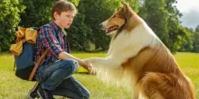 Lassie torna a casa: tutto quello che c&rsquo;&egrave; da sapere sul film