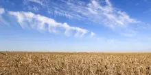 Un&rsquo;agricoltura che produce di pi&ugrave;, ma con meno agricoltori: &egrave; davvero questa l&rsquo;Europa che vogliamo?
