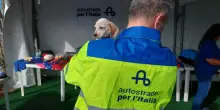 Polizia di Stato e Autostrade per l&rsquo;Italia insieme a Casilina Ovest per la sicurezza e il benessere degli animali