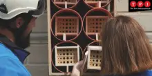 Quando la rete elettrica aiuta la biodiversit&agrave;