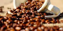 Caff&egrave; Borbone, ricavi in aumento del 5,6% nel primo trimestre 2026