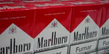 Philip Morris espande la produzione di bustine di nicotina ZYN in Colorado