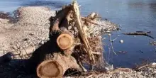 Siccità, Musumeci: prorogato stato di emergenza in Sicilia