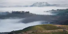 Vino, Consorzio Brunello: eletto il nuovo Consiglio di amministrazione