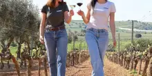 Vino, il 24 maggio a Santa Tresa va in scena “Trekking in vigna”