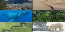 Mattarella: biodiversità minacciata da attività poco lungimiranti, guardare ai giovani