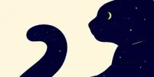 ”Il Gatto dai Sette nomi”, il nuovo libro di Federico Santaiti