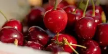 Ciliegia Marostica Igp, produzione stimata in crescita del 25%