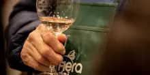 ”Fiera dei vini”: Aic e Città del vino per l’evento di Piacenza Expo