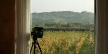 Vino, gli Anotherview protagonisti del Masciarelli Art Project 2025