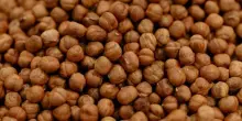 Dagli scarti alimentari risorse per nuovi prodotti