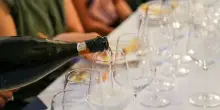 Guidolin (Consorzio Prosecco Doc): non incrementeremo i vigneti