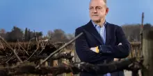 Vino, Consorzio Doc Friuli Venezia Giulia: Trinco confermato presidente