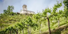 L’8 giugno chiude Mostra dei Vini di Collina di San Pietro di Feletto