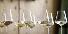 Consorzio Alto Adige: da 2024 difficile vini più eleganti e moderni