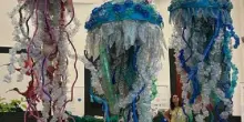 Al Bioparco a Roma la mostra “Plasticocene”, per rispettare il mare