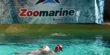 Ambiente, domani è la Giornata Mondiale degli Oceani