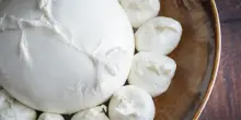 Mozzarella Bufala Dop in Giappone per aprire nuove rotte export