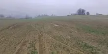 R. Toscana: al via ristori aziende agricole per alluvione marzo