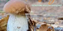 Aperte le iscrizioni all’ undicesimo campionato mondiale del fungo