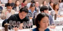 Consorzio Vino Chianti: con Thailandia e Vietnam prosegue tour in Asia