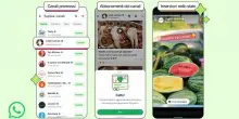 Su Whatsapp arrivano canali in abbonamento e pubblicità nello stato
