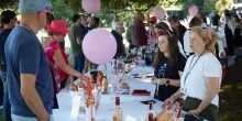 Vino, “Bererosa 2025”: a Villa Appia Antica a Roma oltre 130 rosati