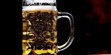 Federico Sannella (Birra Peroni) il nuovo presidente di Assobirra