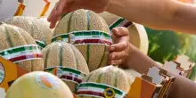 A Mantova il 23 luglio il primo simposio del Melone Igp