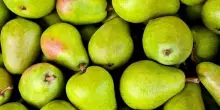 Produzione pere in Ue in aumento, ma sfide comparto crescenti