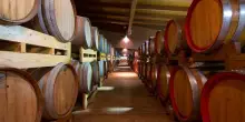 Consorzio Terre del Balsamico al Summer Fancy Food di New York