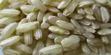 Coldiretti: su import riso asiatico serve clausola salvaguardia