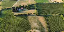 Vino, Rontana festeggia 25 anni con una nuova cantina a Brisighella