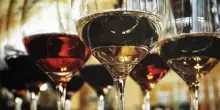 Agea: nel 2024 produzione vino Italia a 43,9 mln di ettolitri