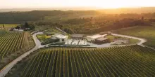 Vino, la Cantina Vallepicciola acquisisce una quota di Balan Srl