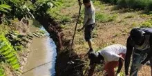 Agricoltura in allarme per emergenza idrica nel piacentino